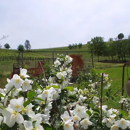 Sotto La Vigna Charm Adult Only Vacation Balcony